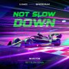 Invector - Not Slow Down (2025) [FLAC]
