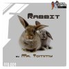 Mr. Tommy - Rabbit (2016) [FLAC]