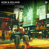 Dom & Roland - Lost In The Moment (2020) [FLAC]