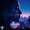 Dulehec - Slow My Mind (2026) [FLAC] download