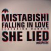 Mistabishi - Falling In Love (2008) [FLAC]