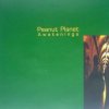 Peanut Planet - Awakenings (1996) [FLAC]